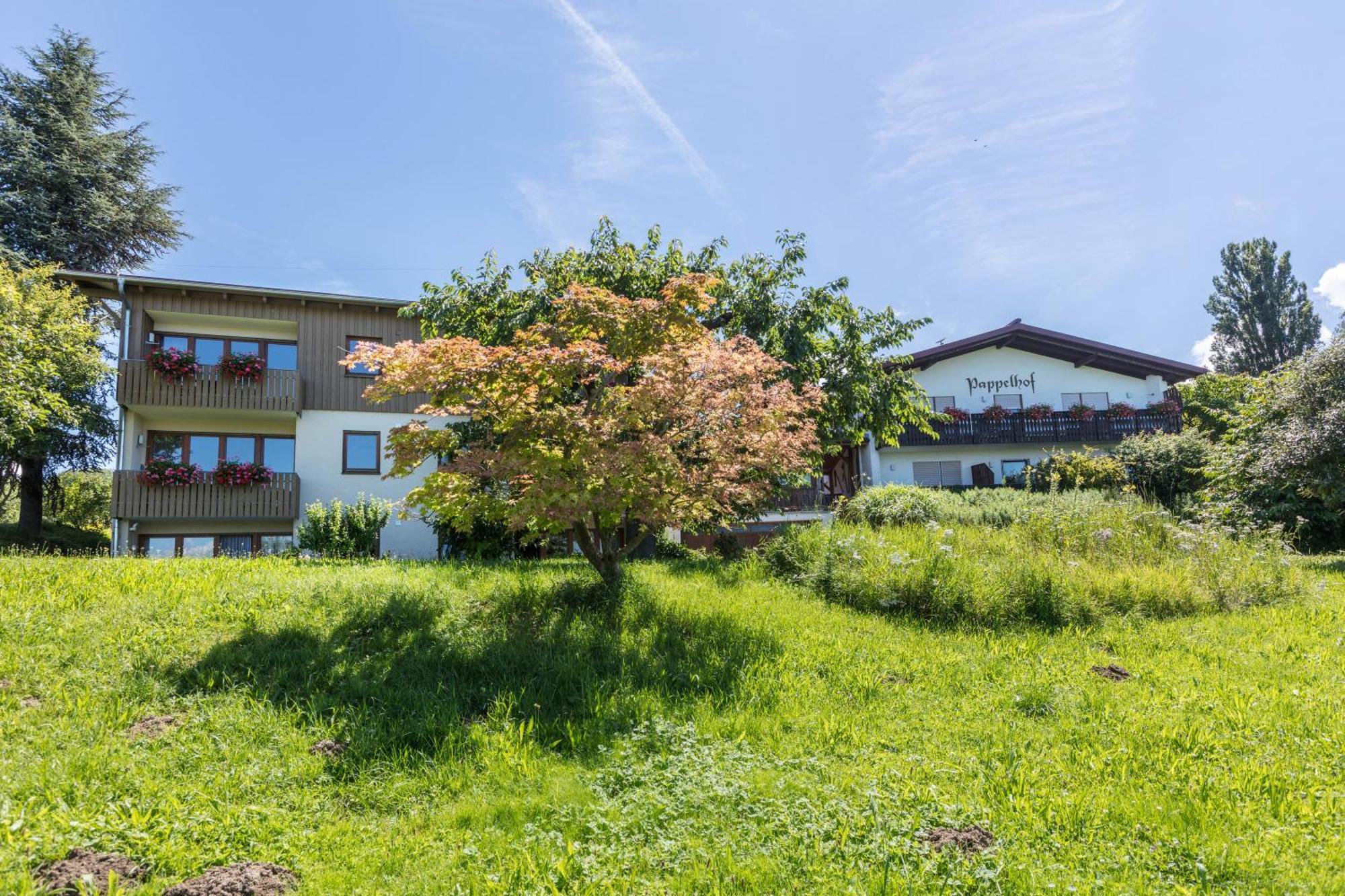Apartment Pappelhof *