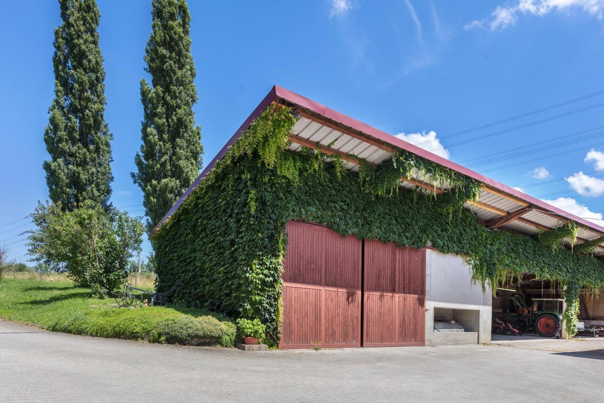 Pappelhof Apartment Bad Bellingen